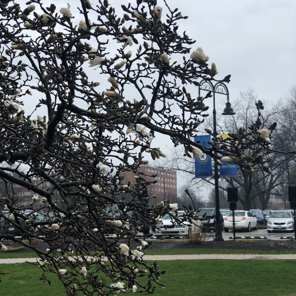 Meet your Posher, Aseel